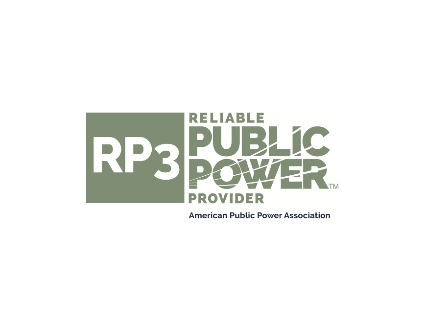 Reliable Public Power Provider (RP3)