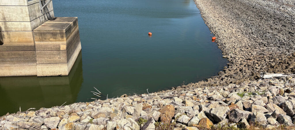 Brewer Lake Levels: A Look Back Over the Past Decade