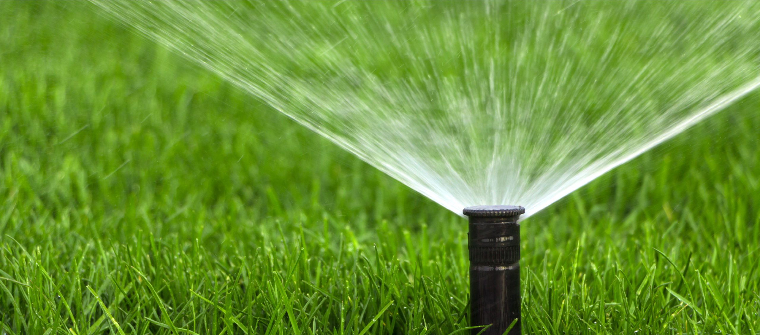 Phase 3 Update: Outdoor Irrigation Suspended Beginning October 5